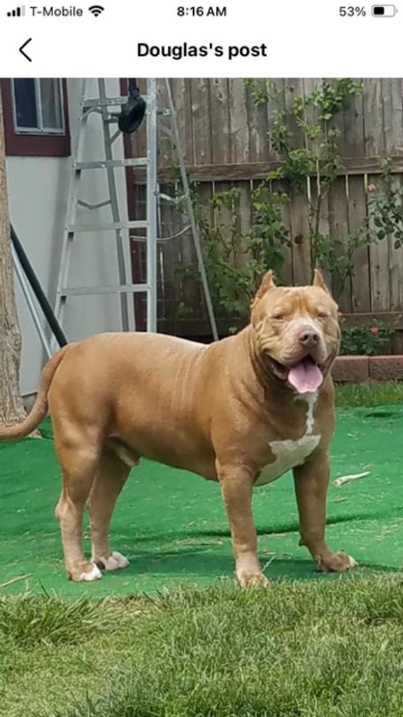Zeus Profile Photo