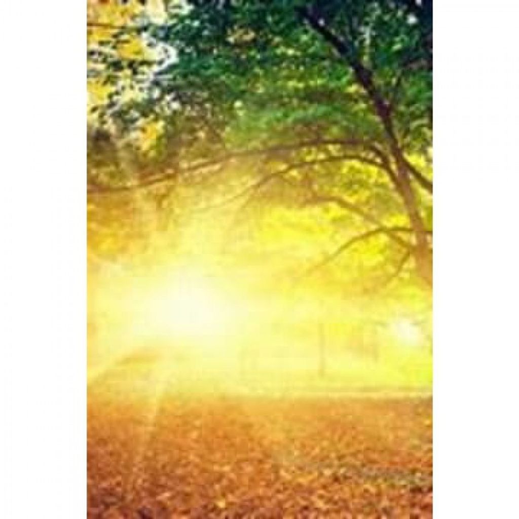 Martha Keesey Profile Photo