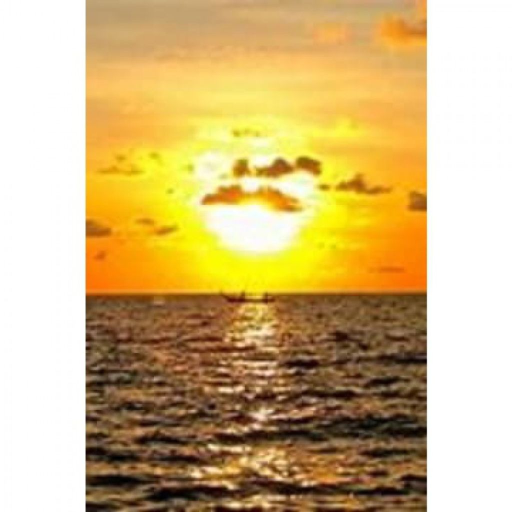 Martha E Visci Profile Photo