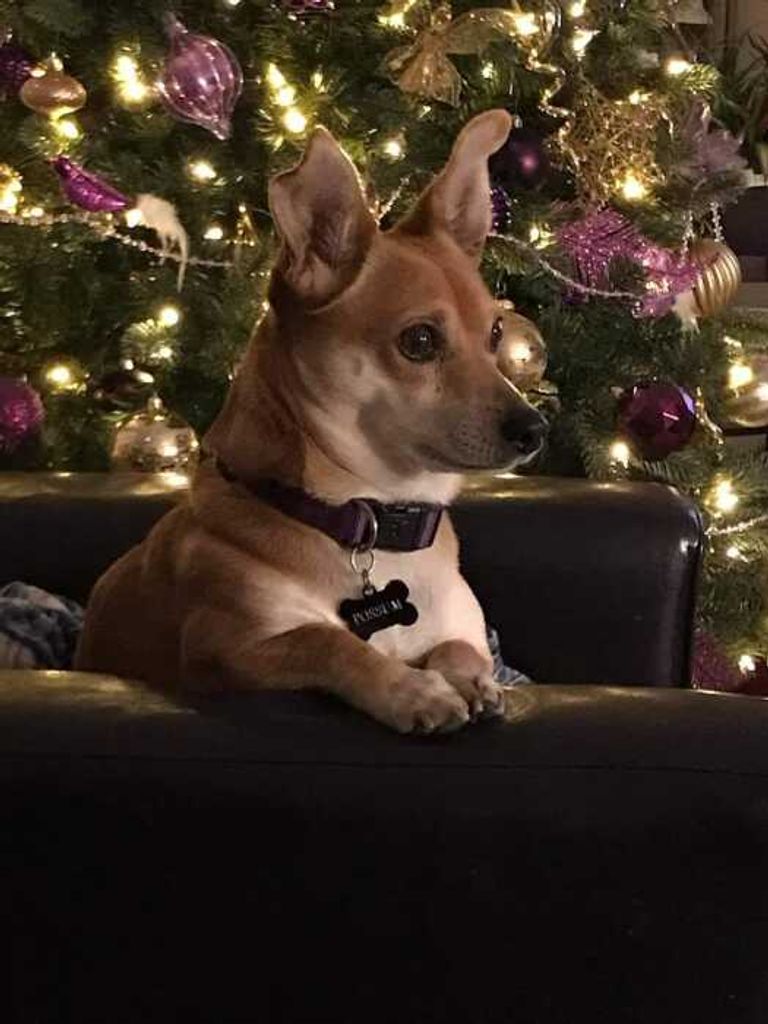 Possum Robinson Profile Photo