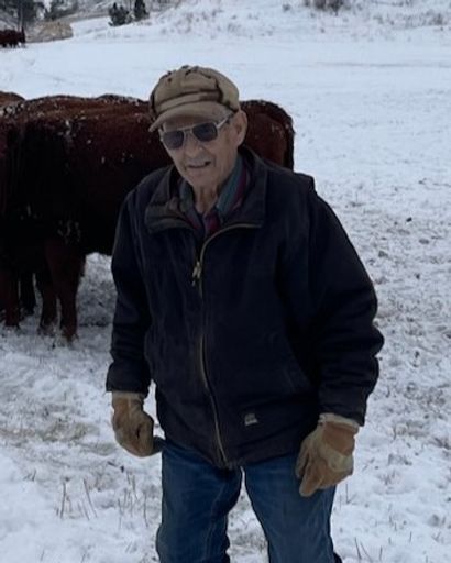 Robert Perino's obituary image