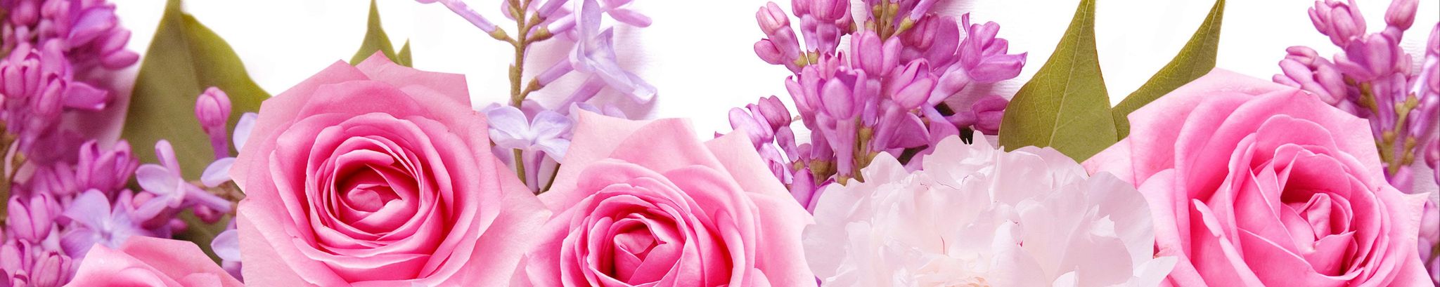 Cover photo for Erlinda Matta Sauseda's Obituary