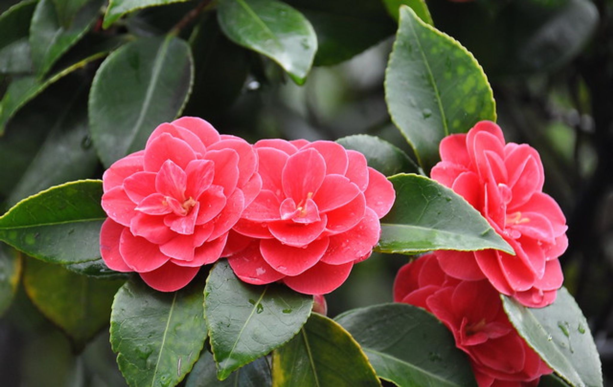 Cover photo for Ruth J Tucker's Obituary