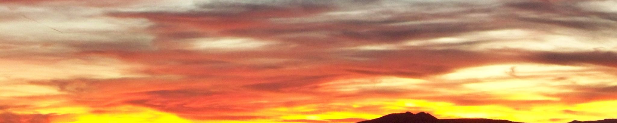 Cover photo for Deb Cohn's Obituary