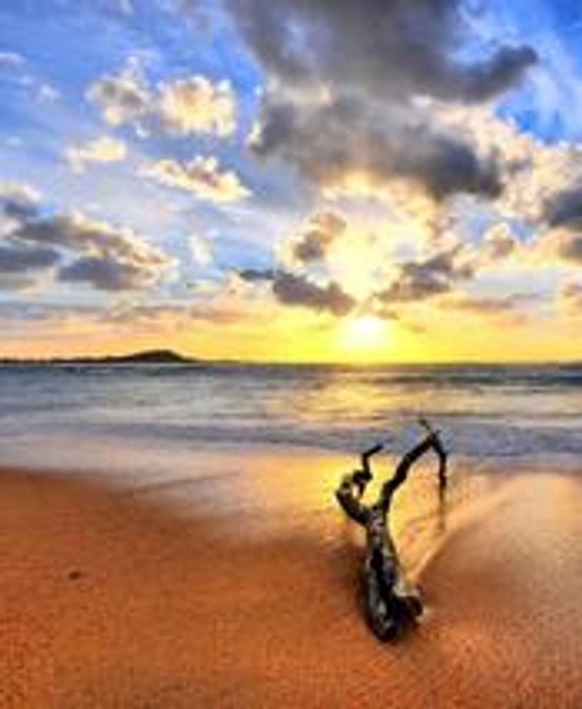 Richard "Dick" Schweitzer