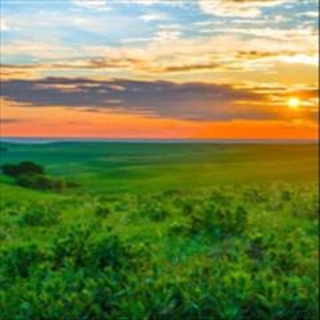 Joe E. Alexander Profile Photo