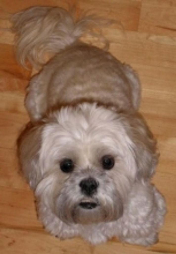 Annie Semrinec Profile Photo