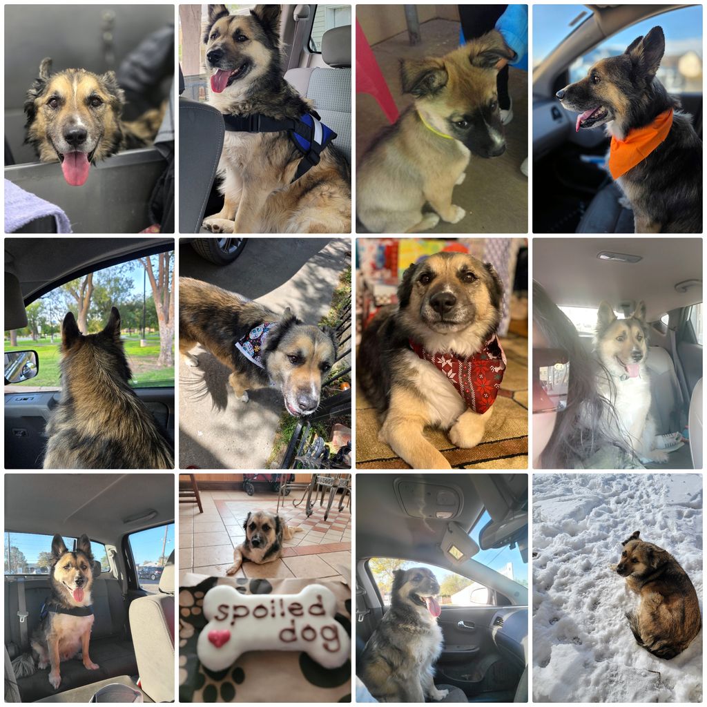 Buddy Profile Photo