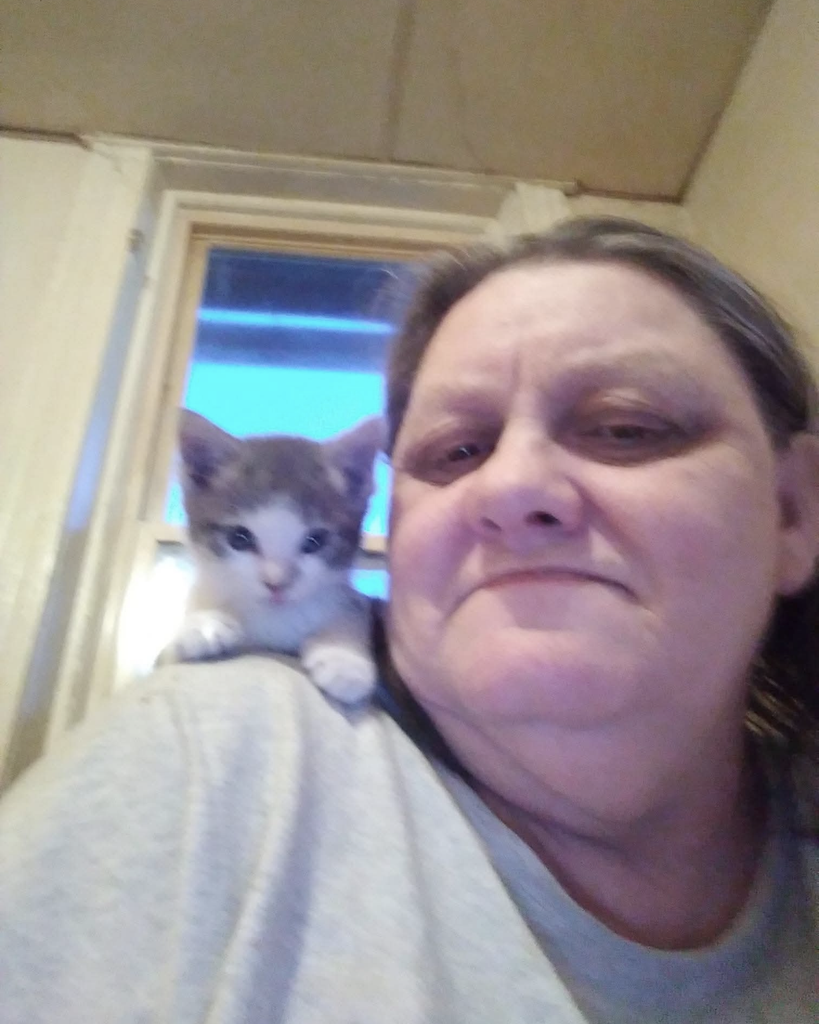 Dena Elaine Hatfield
