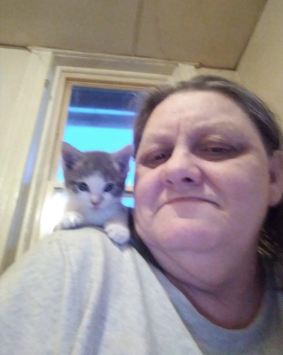 Dena Elaine Hatfield's obituary image