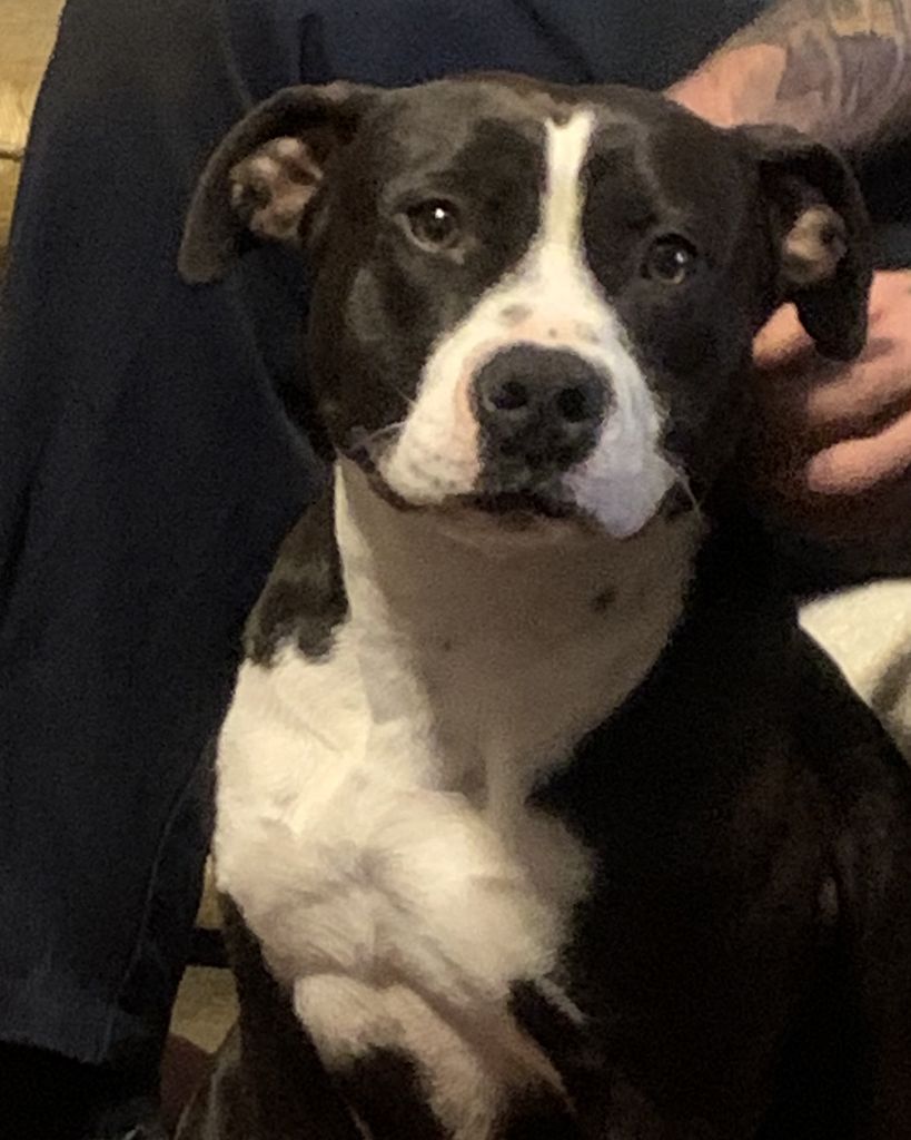 Gretta Montgomery Profile Photo