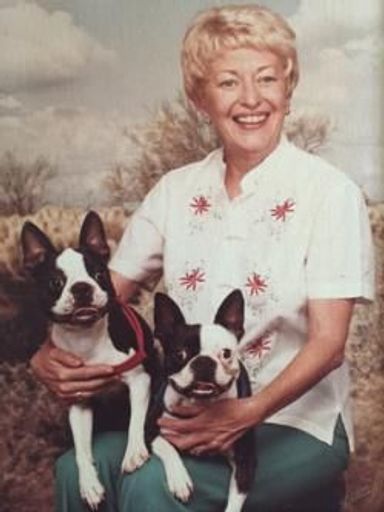 Colleen Longino Profile Photo