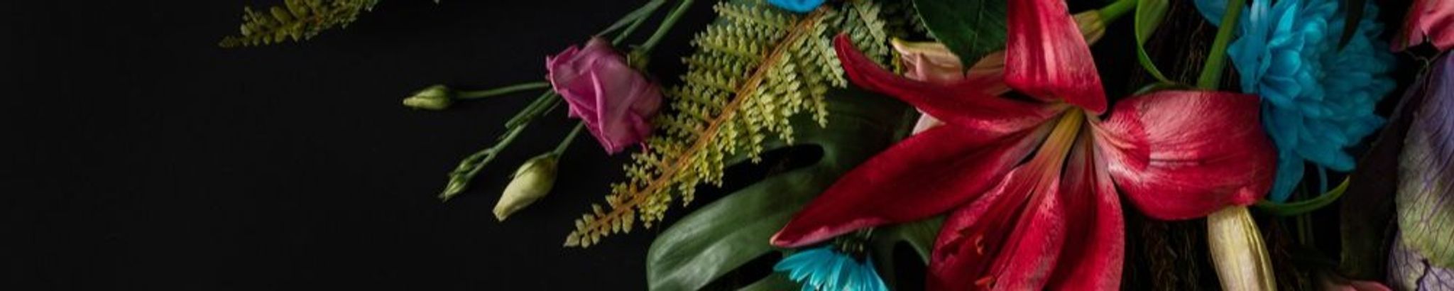 Cover photo for Naomi Williams's Obituary