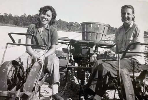 Mary Mills photo gallery thumbnail 30 of 103