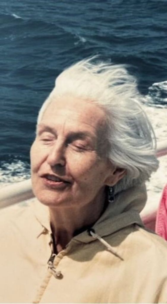 Non Finkelstein Profile Photo