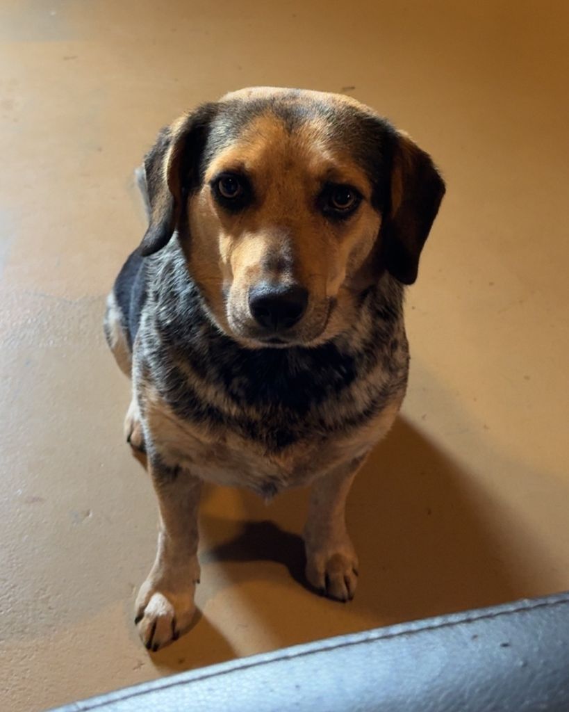 Dot Mansell Profile Photo