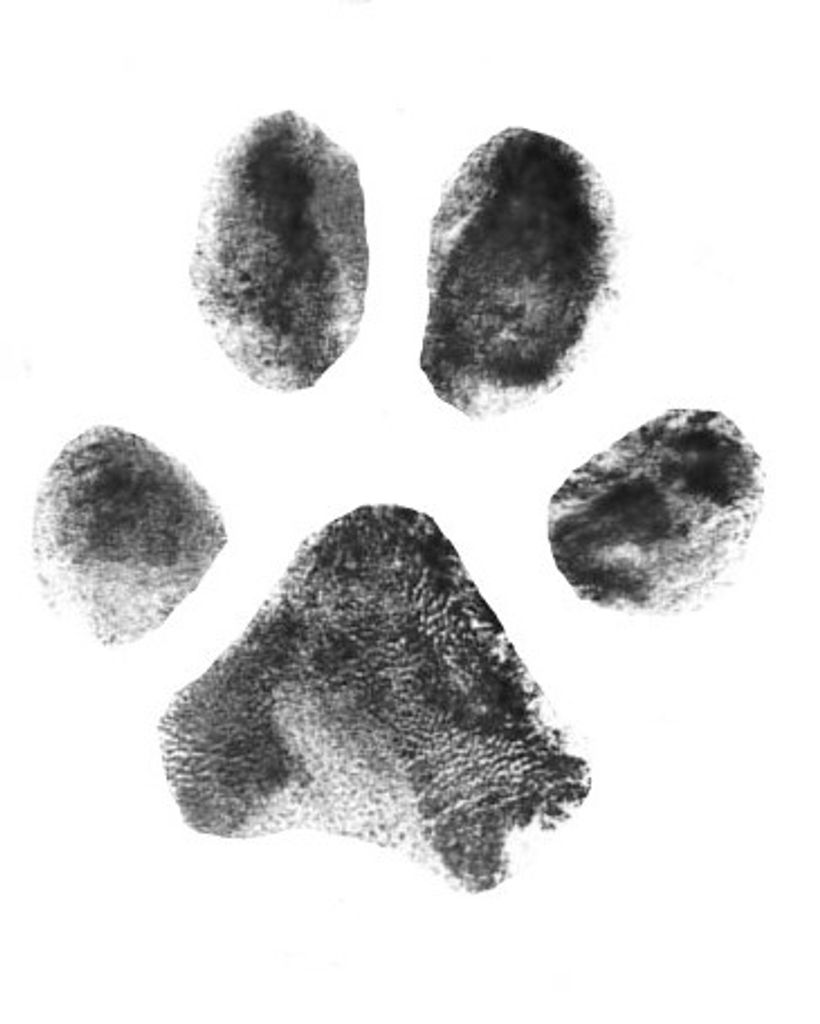 Munson Vaillancourt Profile Photo