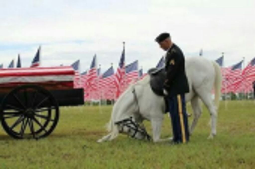 Wayne Paul 'Butch' Jones, Sr.