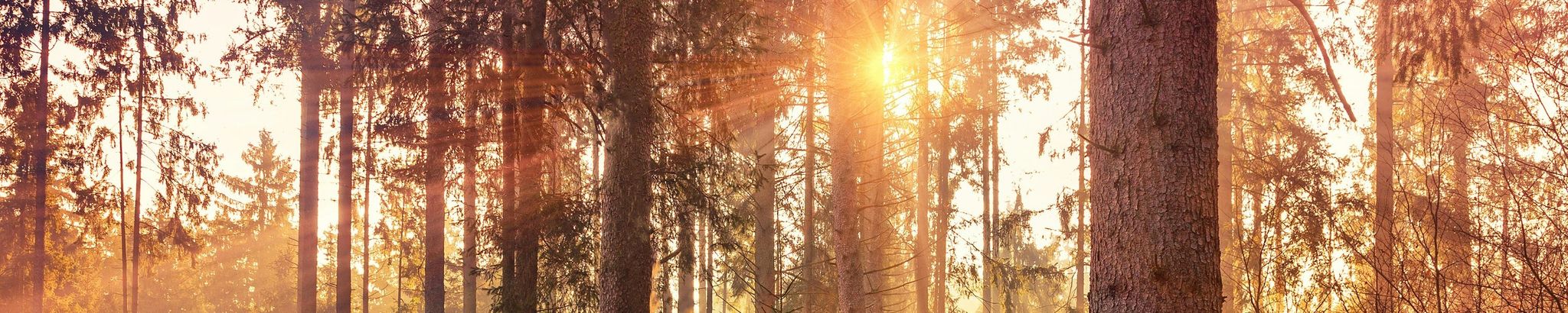 Cover for Kenneth Dill's Obituary