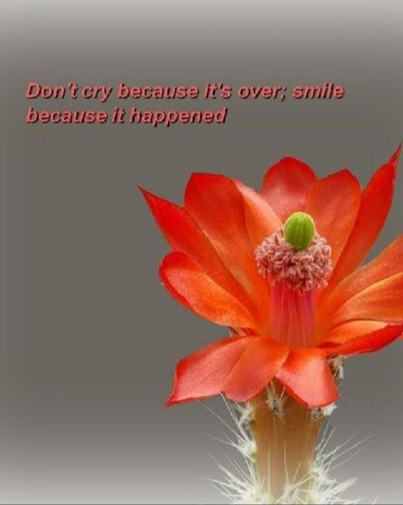 ABRAHAM ISAAC NOLASCO