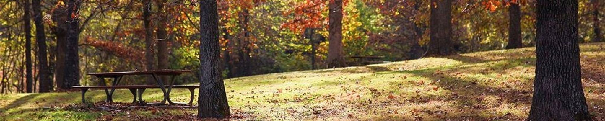 Cover photo for Kelly Moore's Obituary