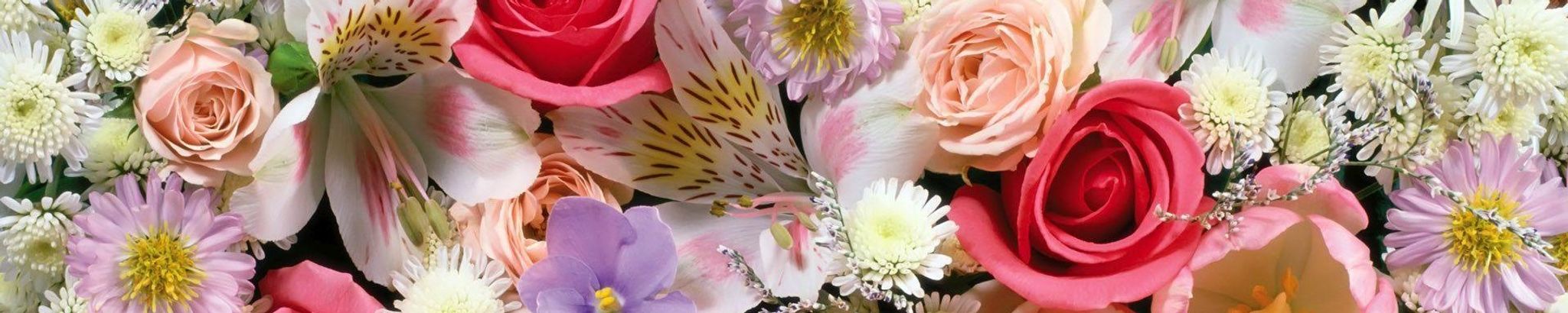 Cover photo for Maria Esperanza Vilchis's Obituary