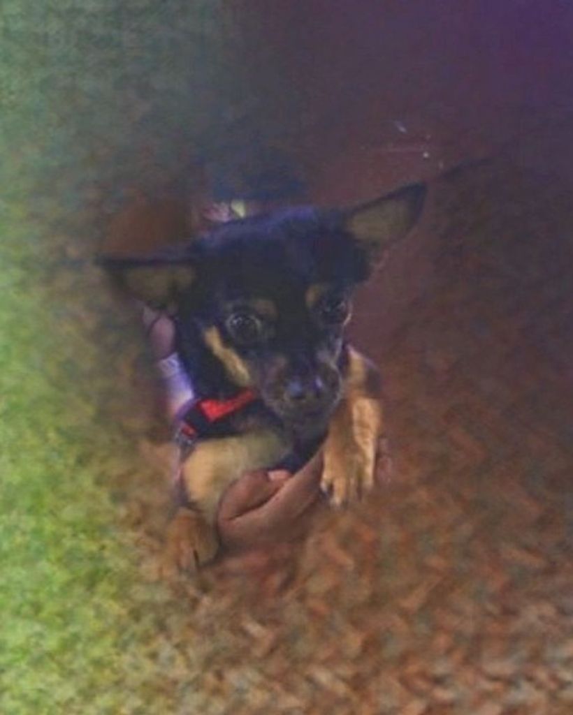 Isis Bobo Profile Photo