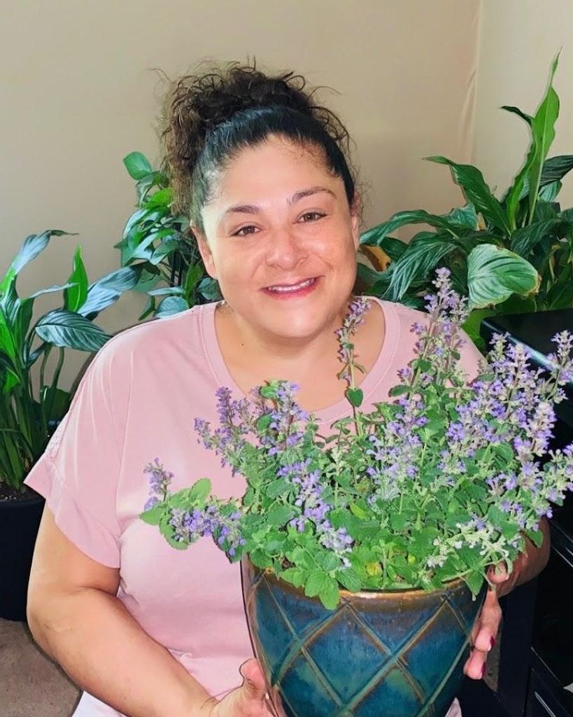 Evelia Susana Velazquez Arias