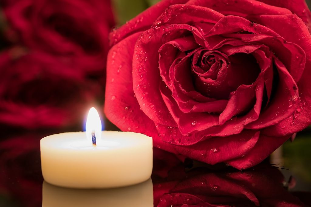 Donna L. Reisinger Profile Photo