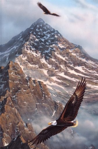 Christopher Harvey Hansen's obituary image