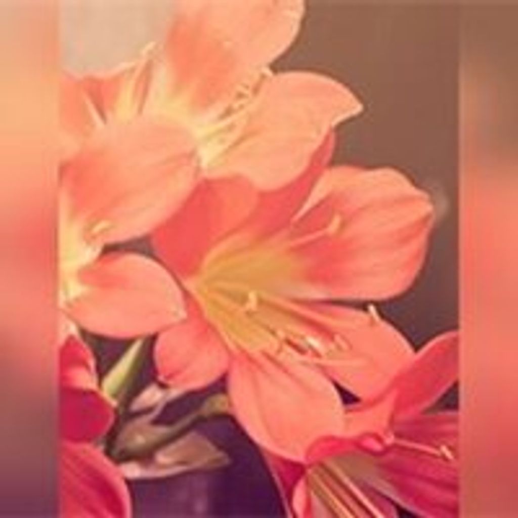 Louella B. Gardner "Dickie" Profile Photo