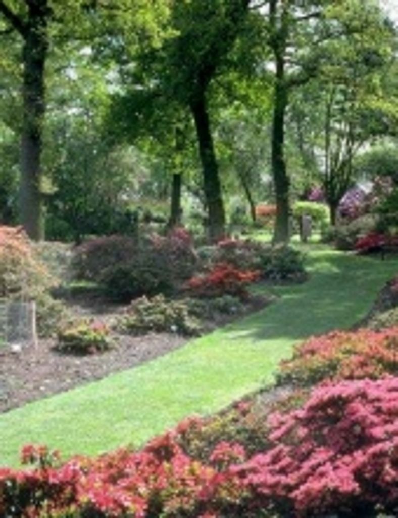 Betty Jane Hageman Profile Photo