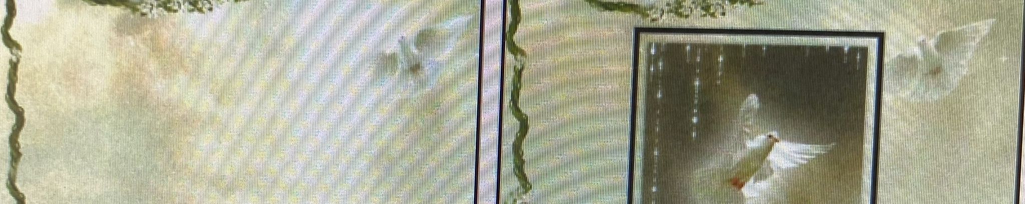 Cover for Jean Marie Myatt's Obituary