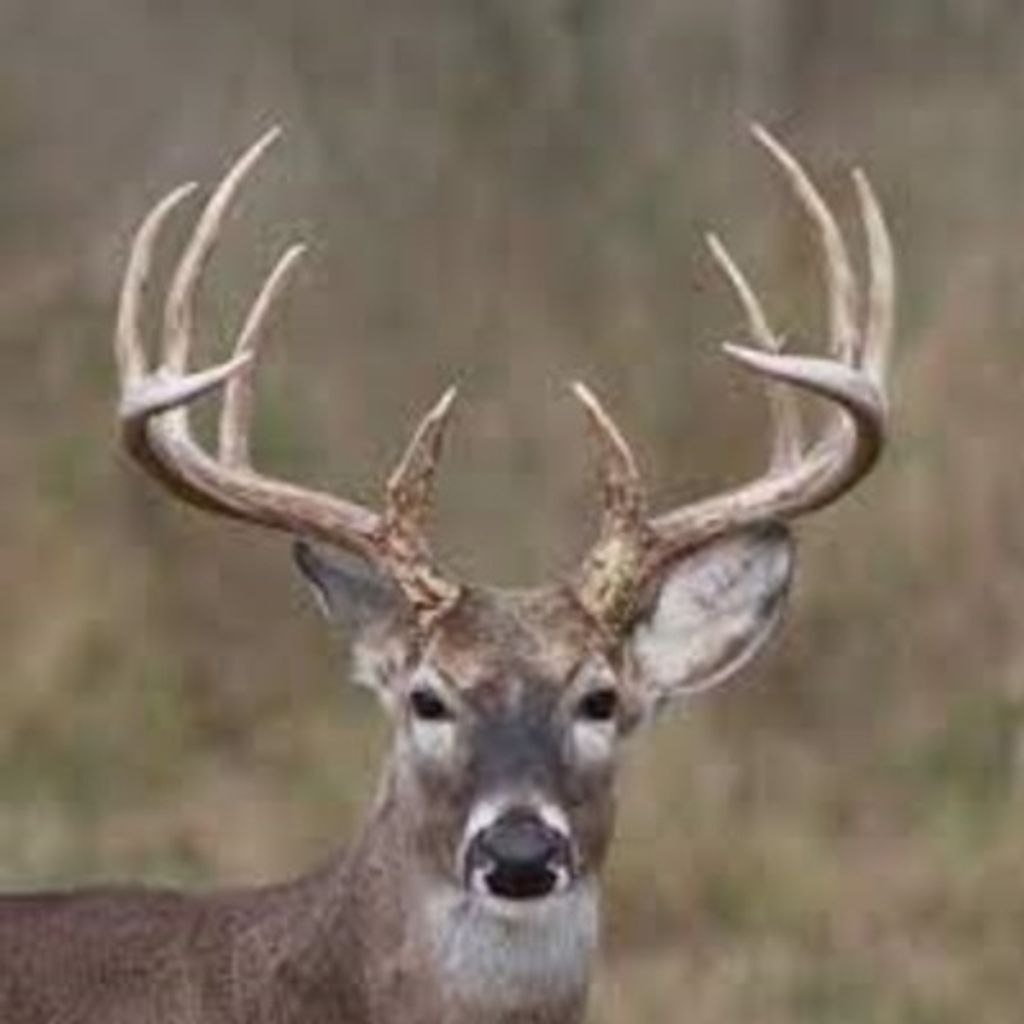 Burton R. Degraff Profile Photo