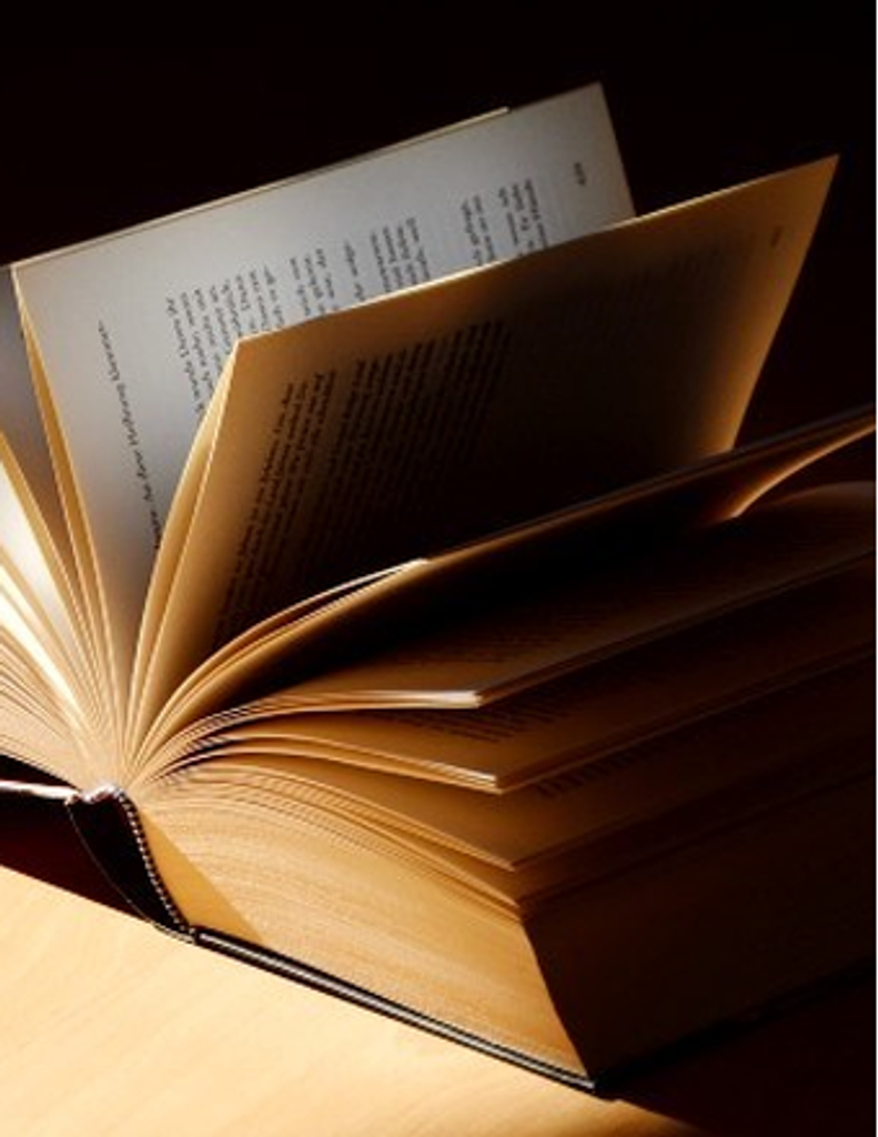 Ann C. Lynch Profile Photo