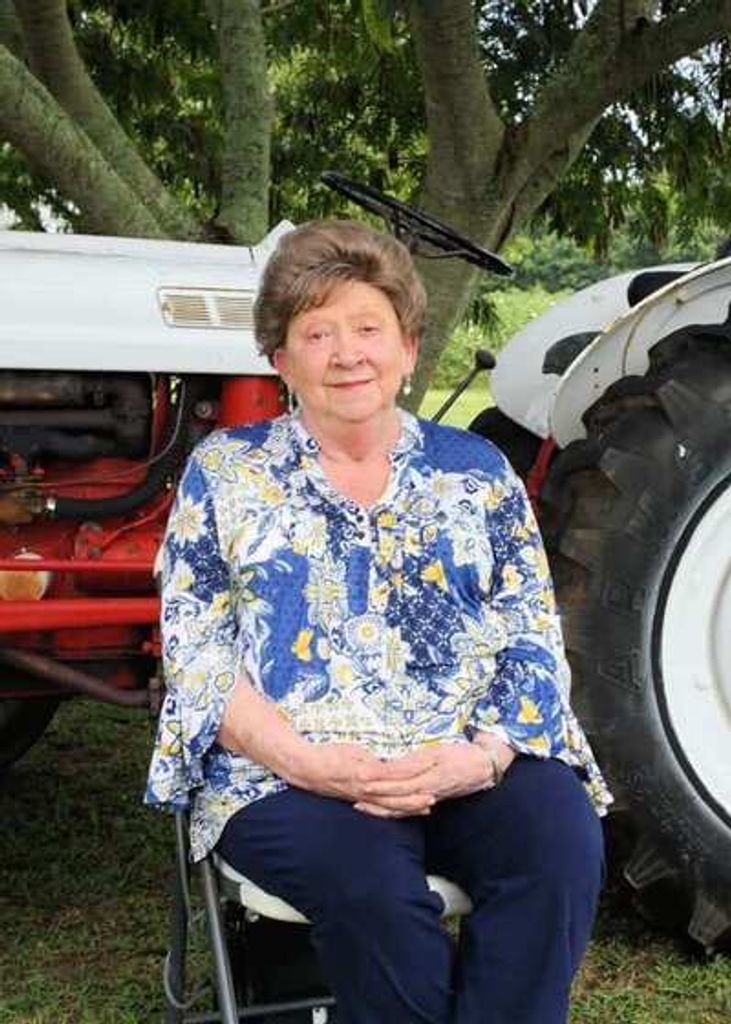 Nancy Carlisle Castellow Profile Photo