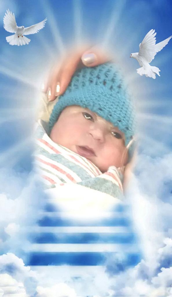 Rodolfo Rodriguez Iv