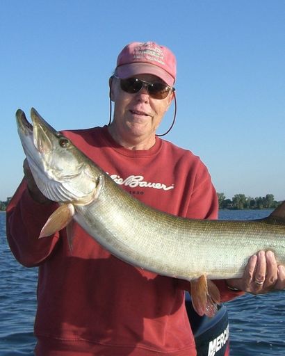 Robert Lew Collins's obituary image