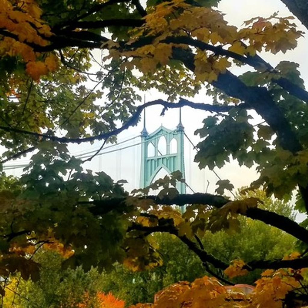 Jeffrey Herbert Bamford