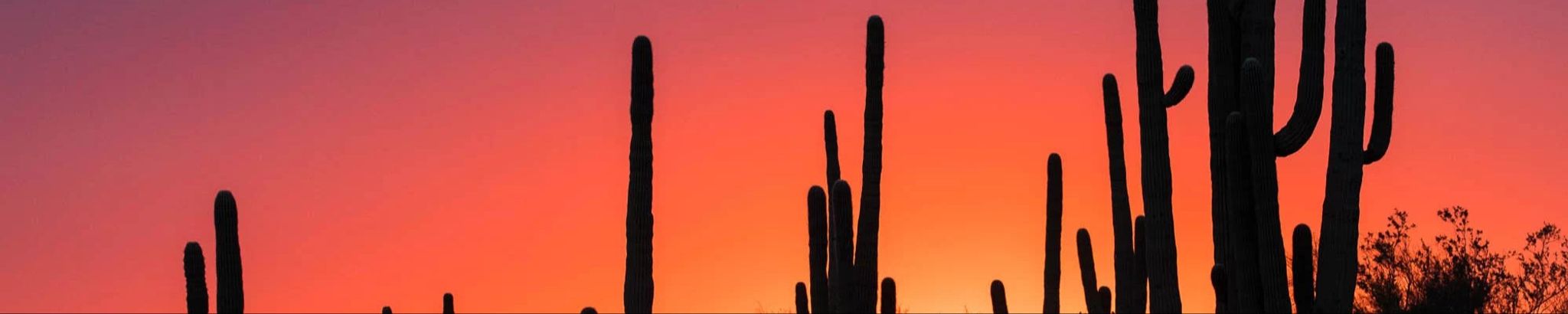 Cover for Mark Eugene Klingler's Obituary