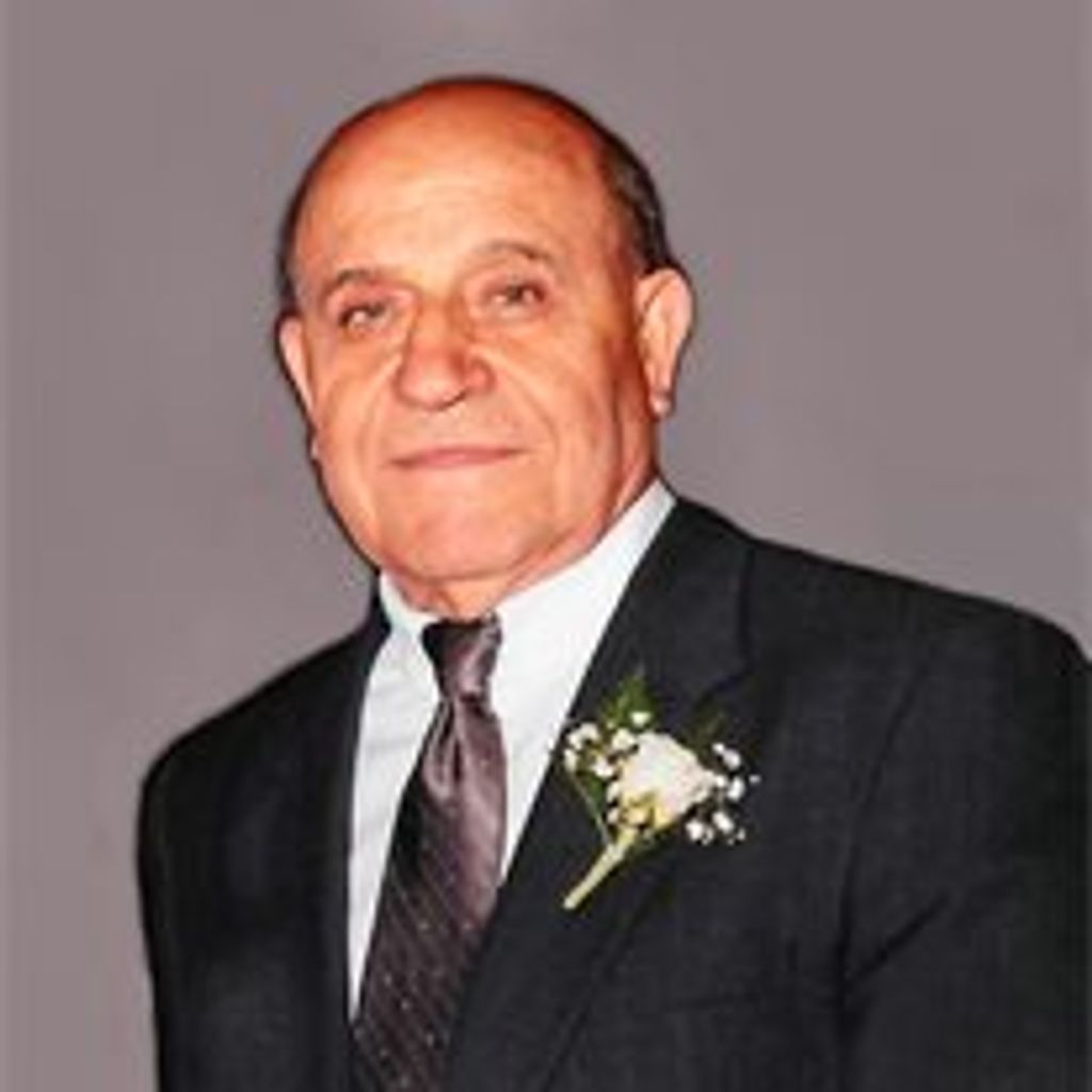 Nicola Angelicola