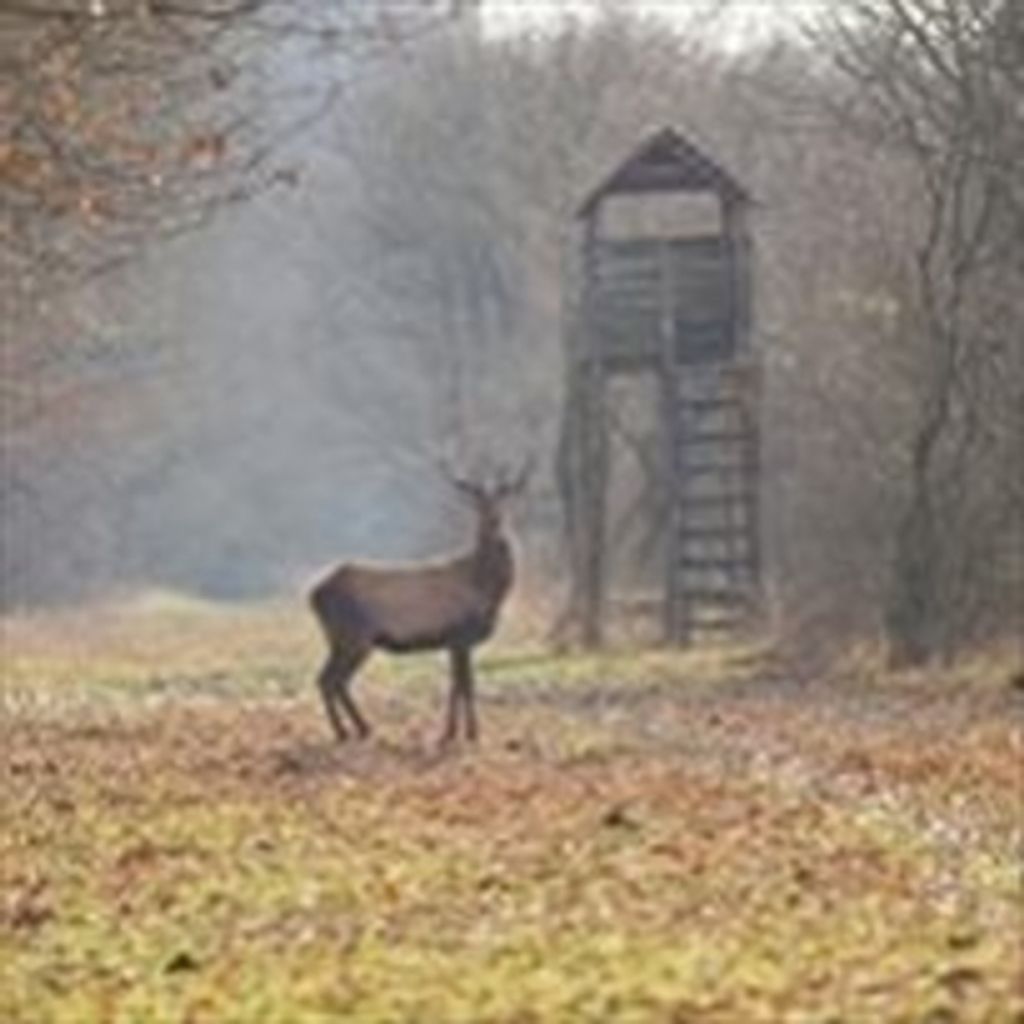 Mr Frederick N. Smith Profile Photo