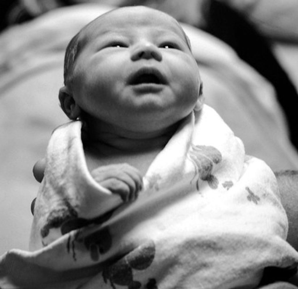 Brett Allister Mcdonald