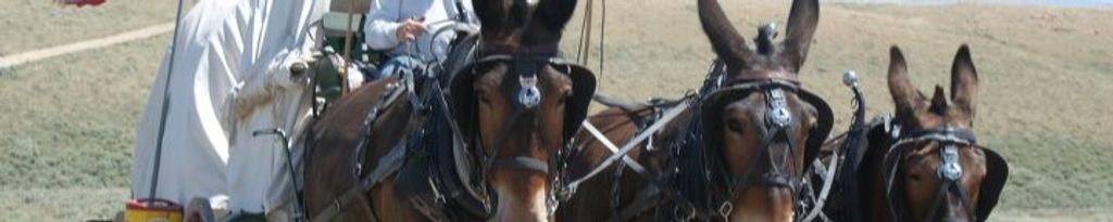 Cover photo for Donnie Dempsey's Obituary