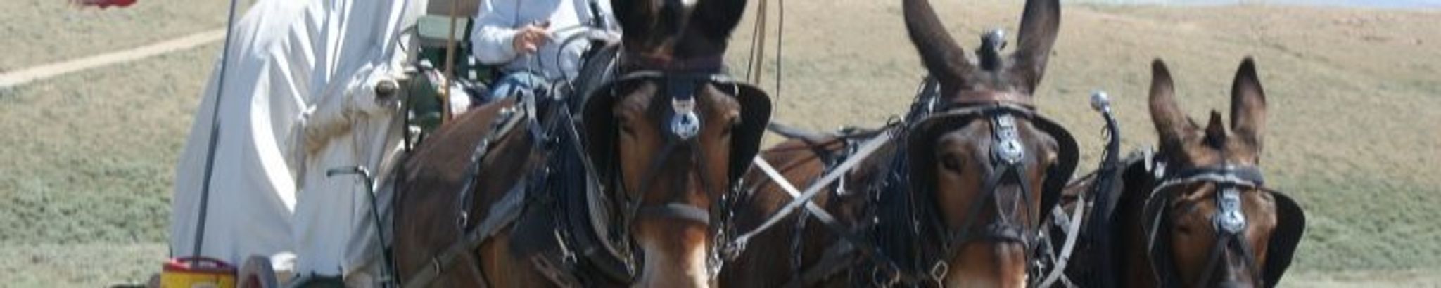 Cover for Donnie Dempsey's Obituary