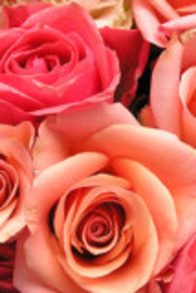 Mona  Joyce Barrett Profile Photo