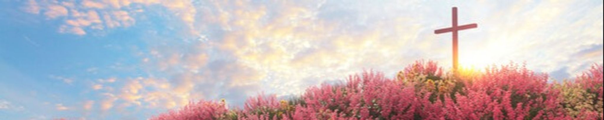 Cover photo for Tess Ashley Joyner Lawson's Obituary