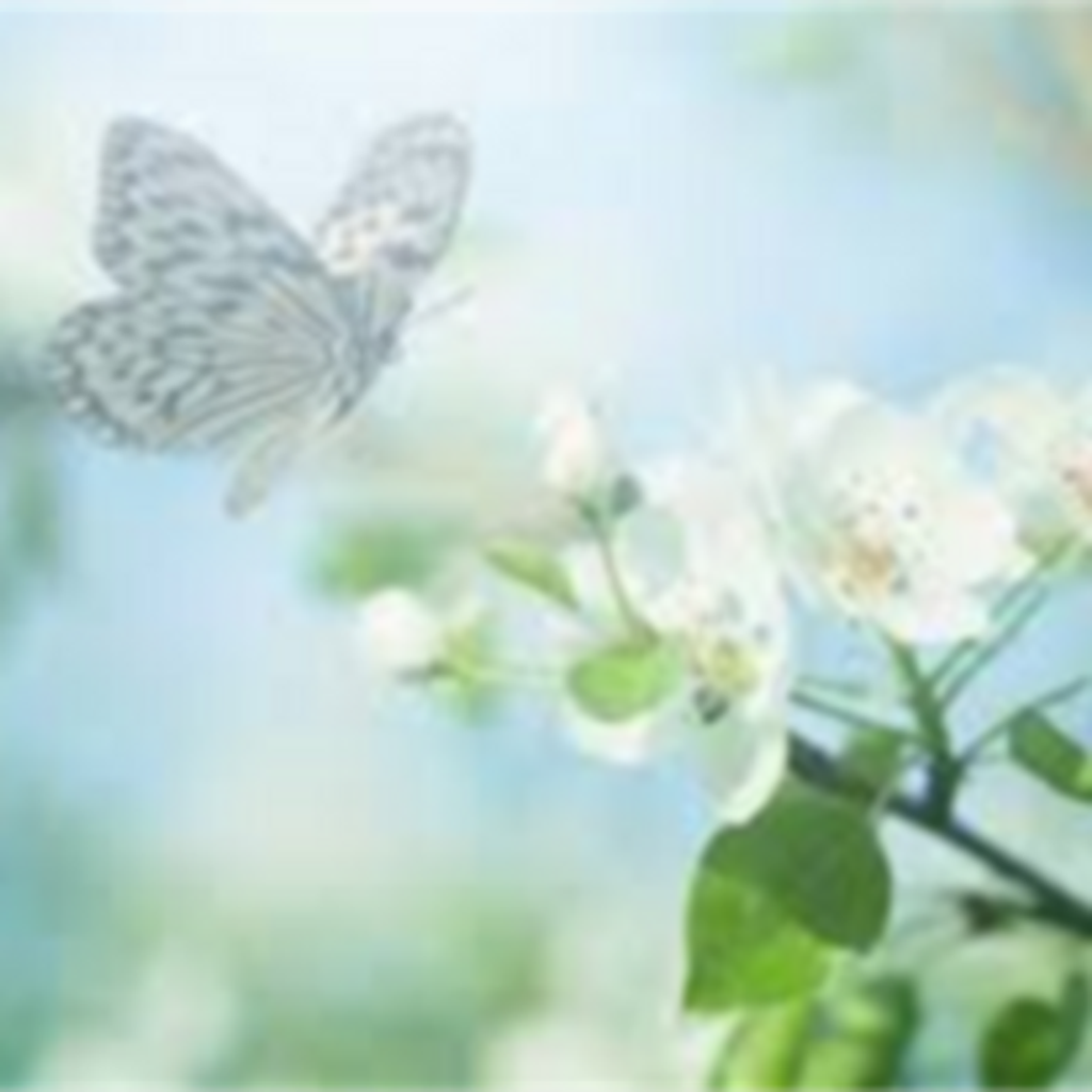 Josephine Christiano