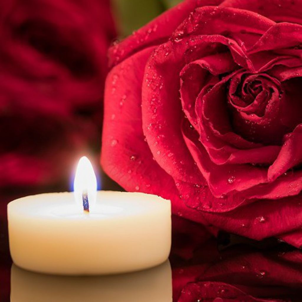 Virginia S. Doppel Profile Photo