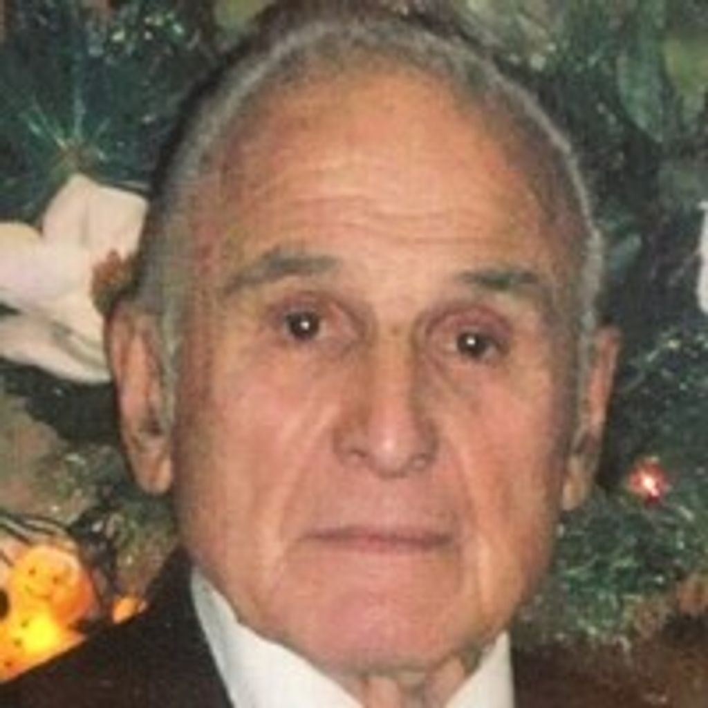 Dominic L Bagnato